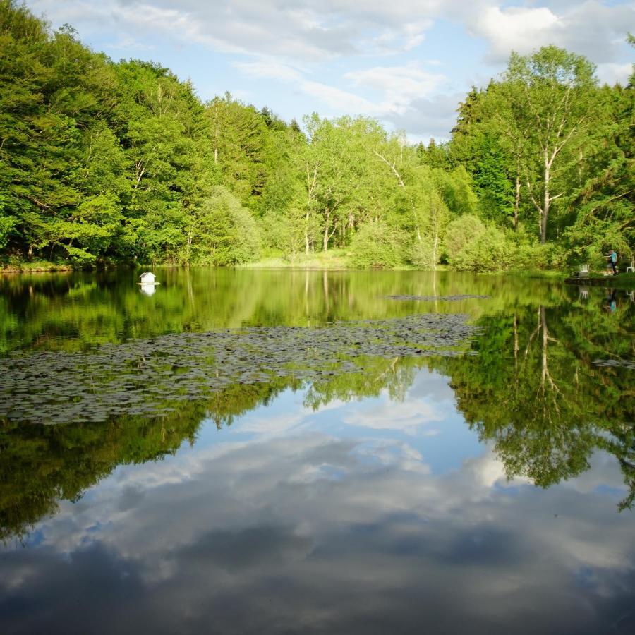 Le Crusoe A L'Etang D'Anty - Appartement Saint-Nabord Exteriör bild