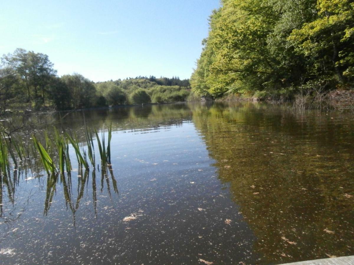 Le Crusoe A L'Etang D'Anty - Appartement Saint-Nabord Exteriör bild